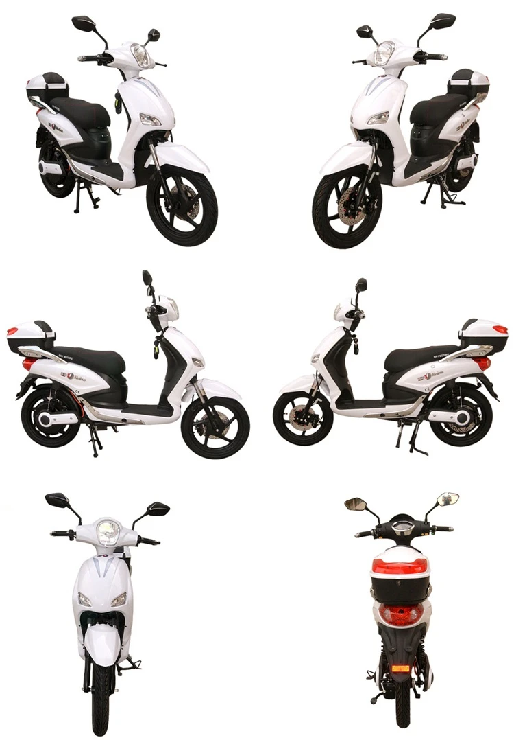 800W Electric Moped Motorcycle 800W Electric Moped Motorcycle