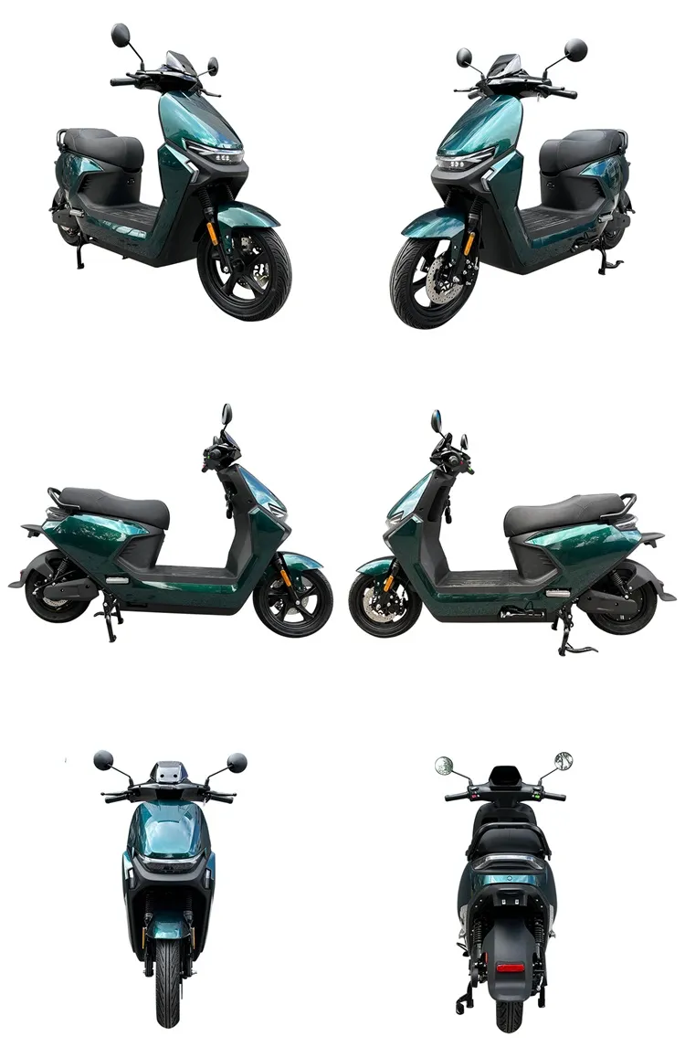 1500W Electric Moped Motorcycle 1500W Electric Moped Motorcycle