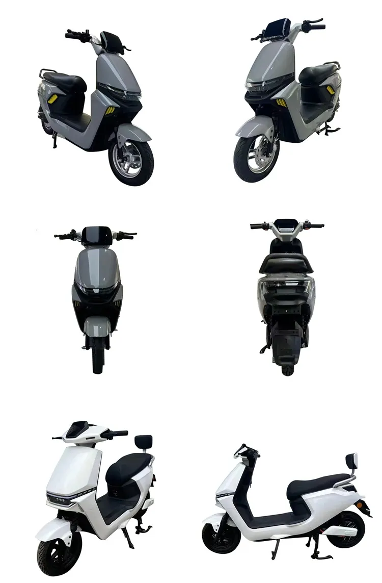 1500W Electric Moped Motorcycle 1500W Electric Moped Motorcycle