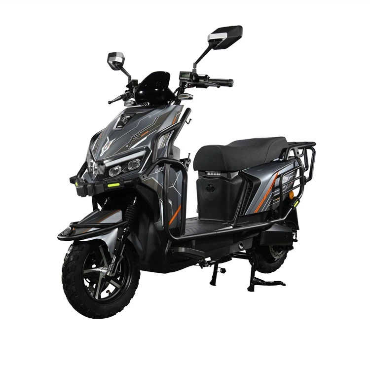 Electric Scooter Motorcycle Electric Scooter Motorcycle
